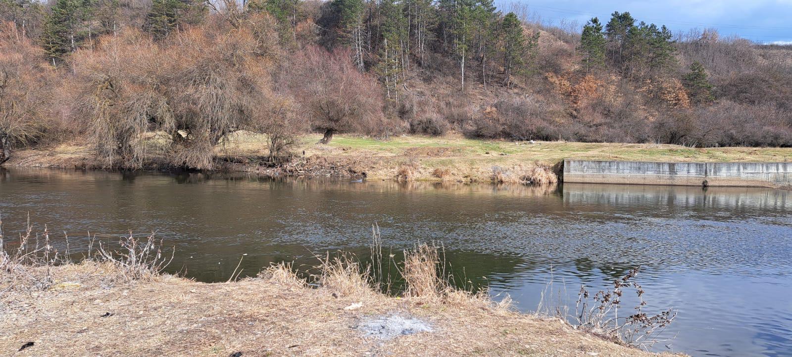 WhatsApp Image 2025-03-13 at 11.17.38 (1).jpeg