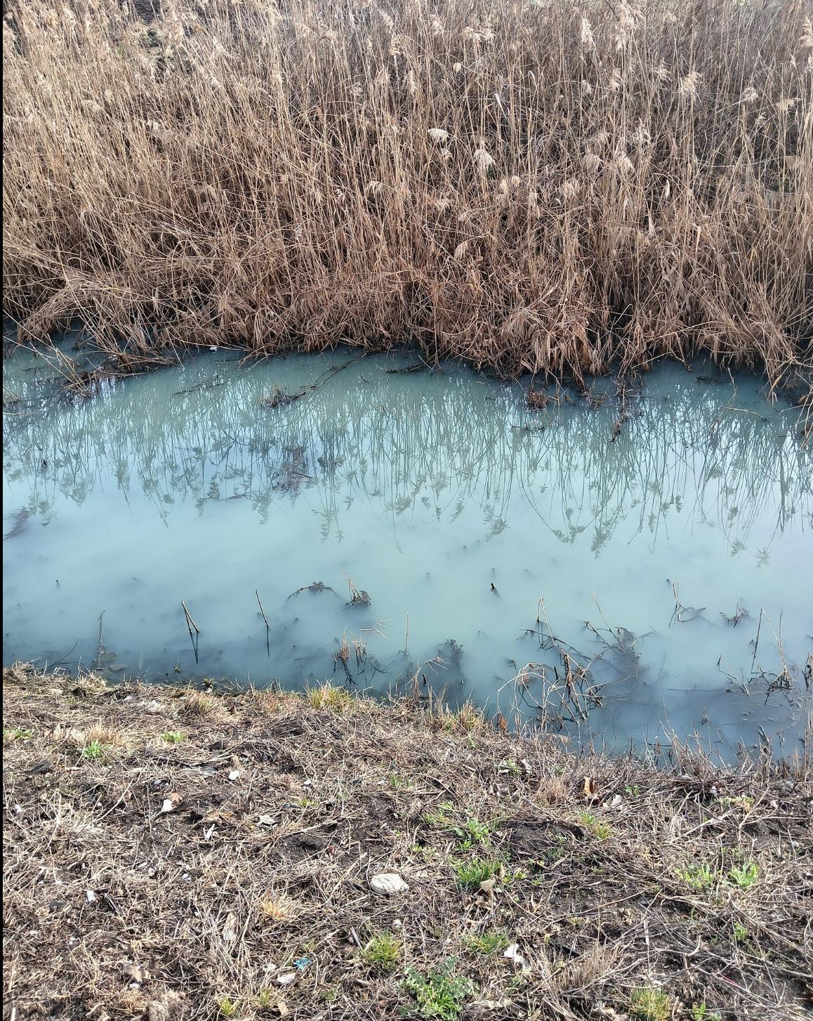 WhatsApp Image 2025-03-26 at 14.47.08.jpeg