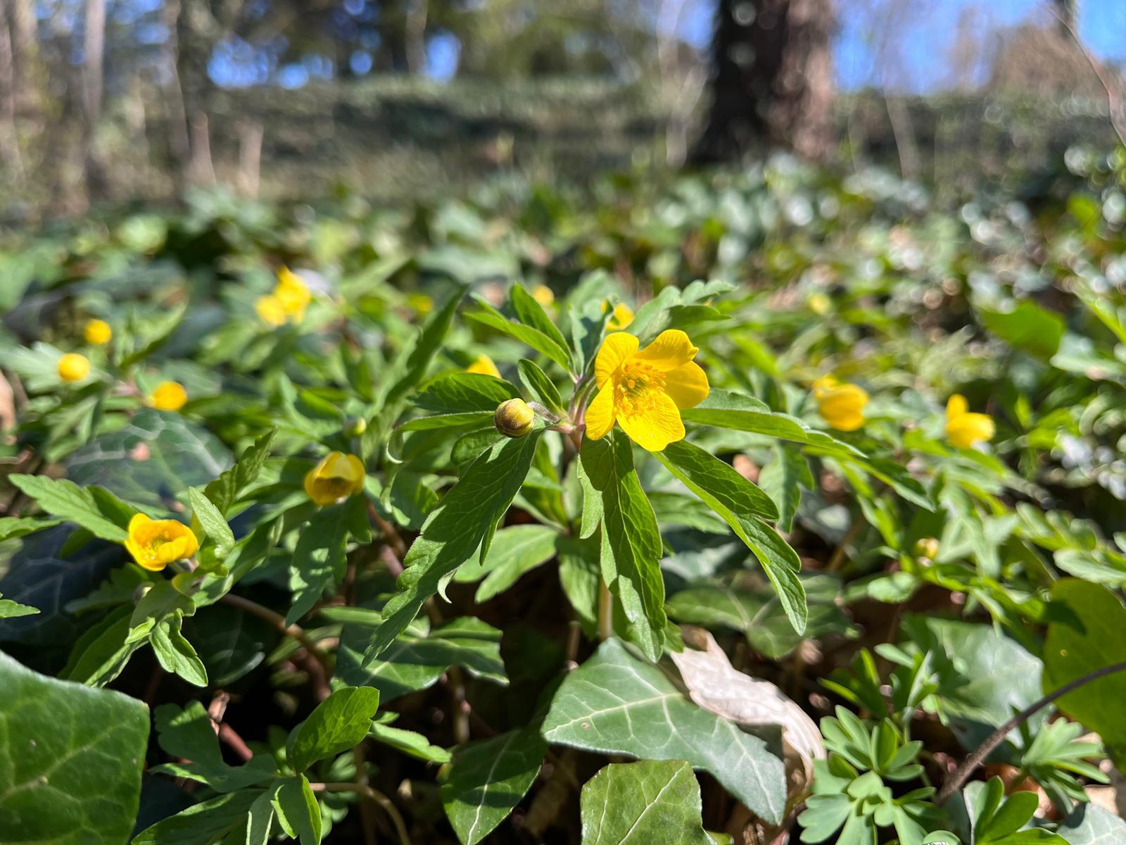 485361739_1142028161057256_1919639394442742252_n (1).jpg