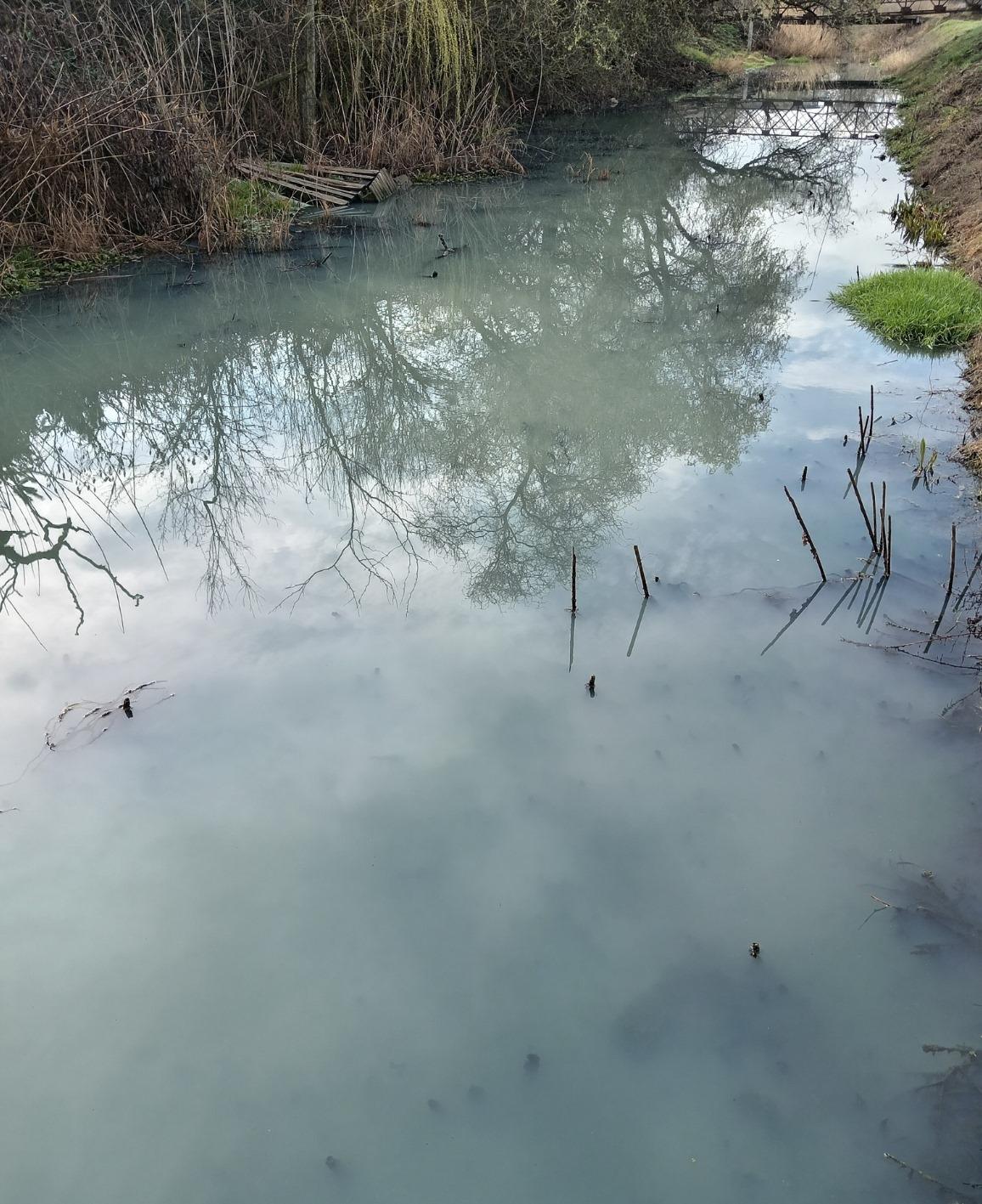 WhatsApp Image 2025-03-26 at 14.48.02.jpeg