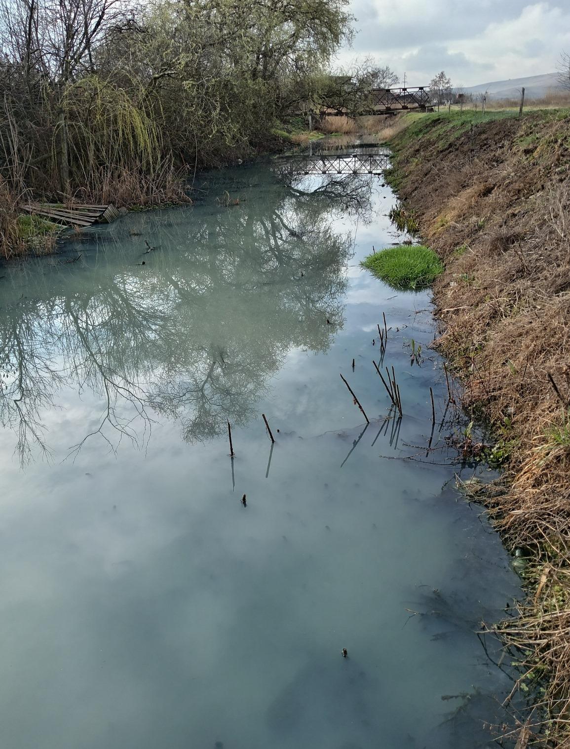 WhatsApp Image 2025-03-26 at 14.47.46.jpeg