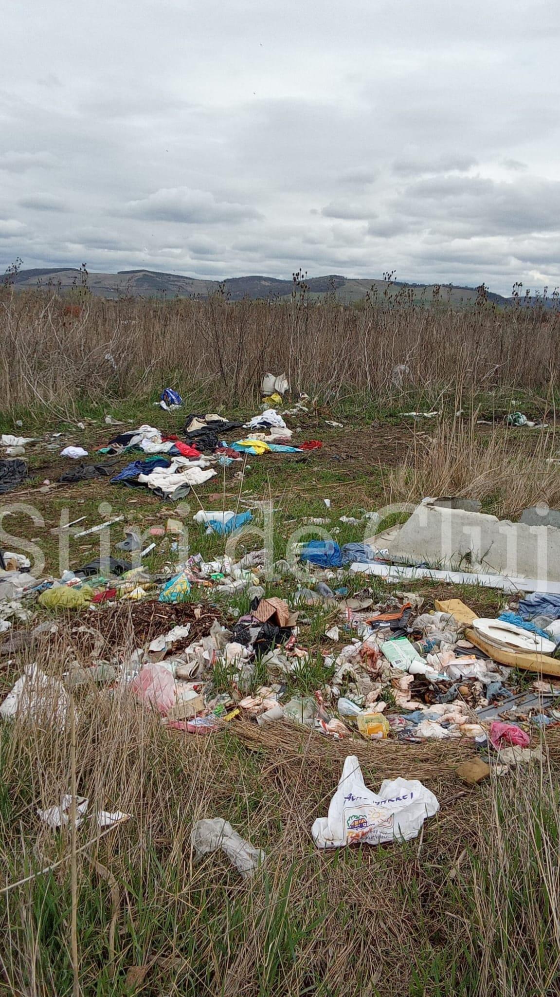 WhatsApp Image 2025-04-01 at 11.09.35.jpeg