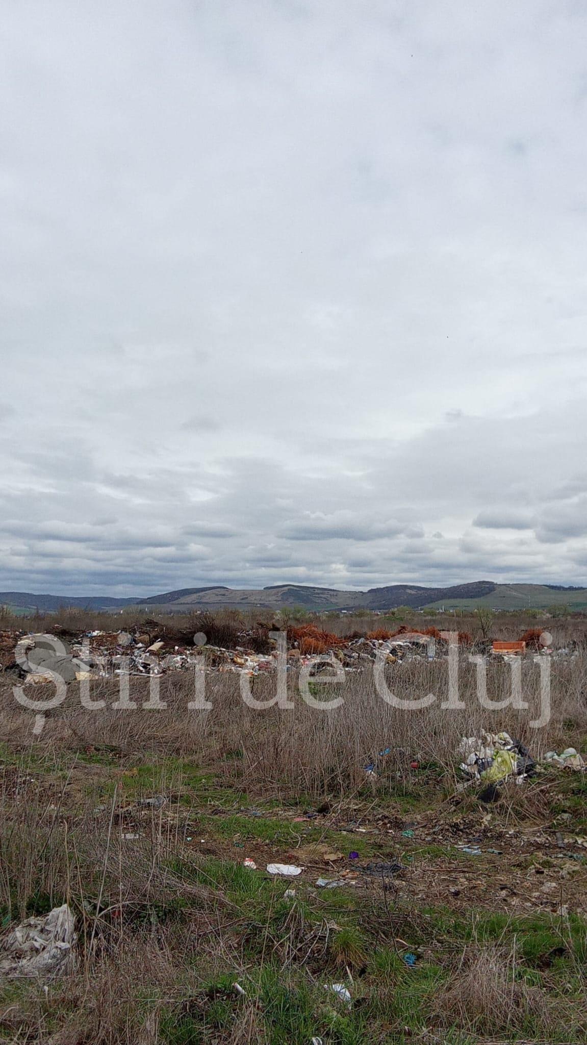 WhatsApp Image 2025-04-01 at 11.12.20.jpeg