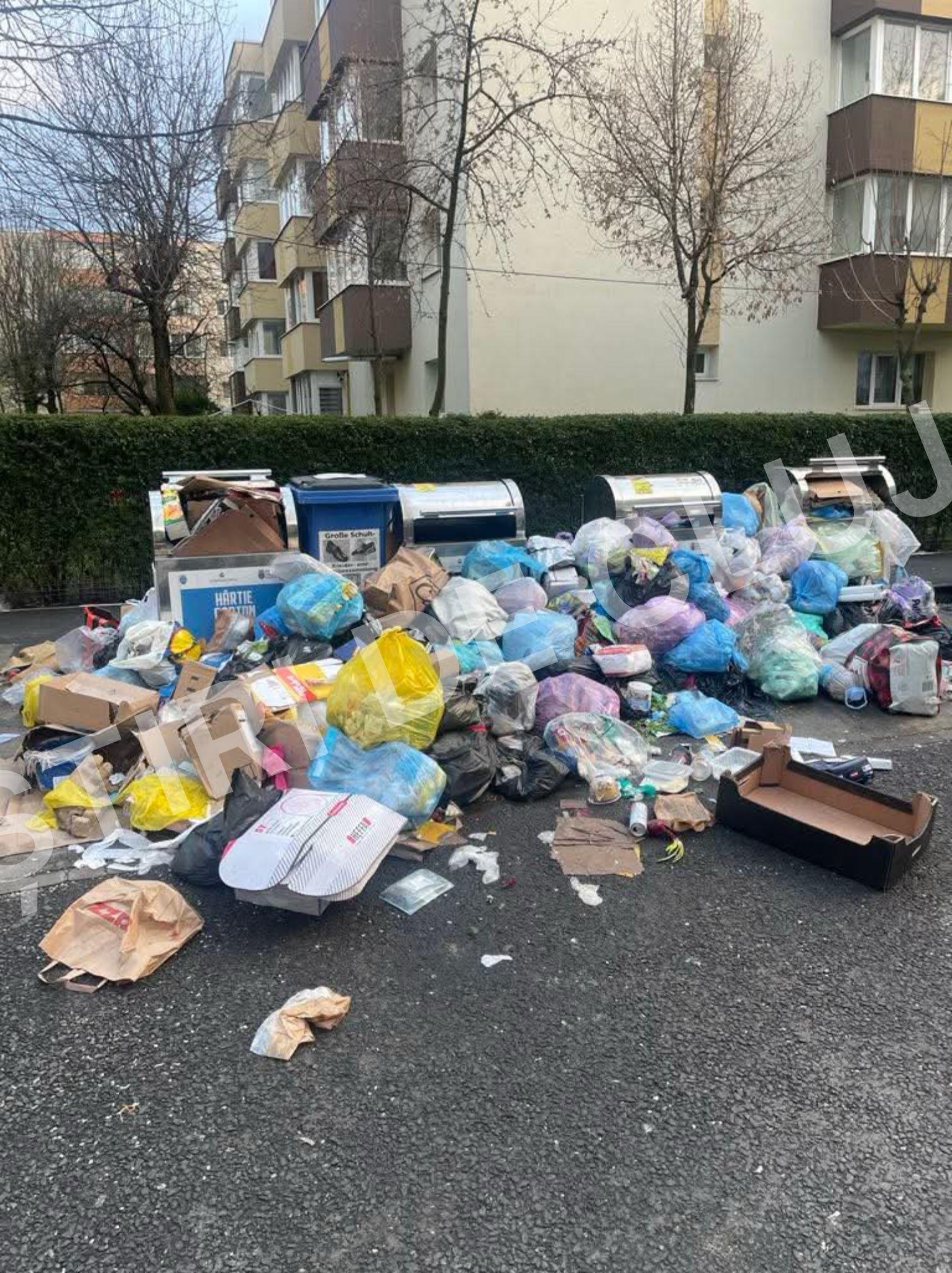 WhatsApp Image 2025-04-01 at 11.36.45_d4b48115.jpg