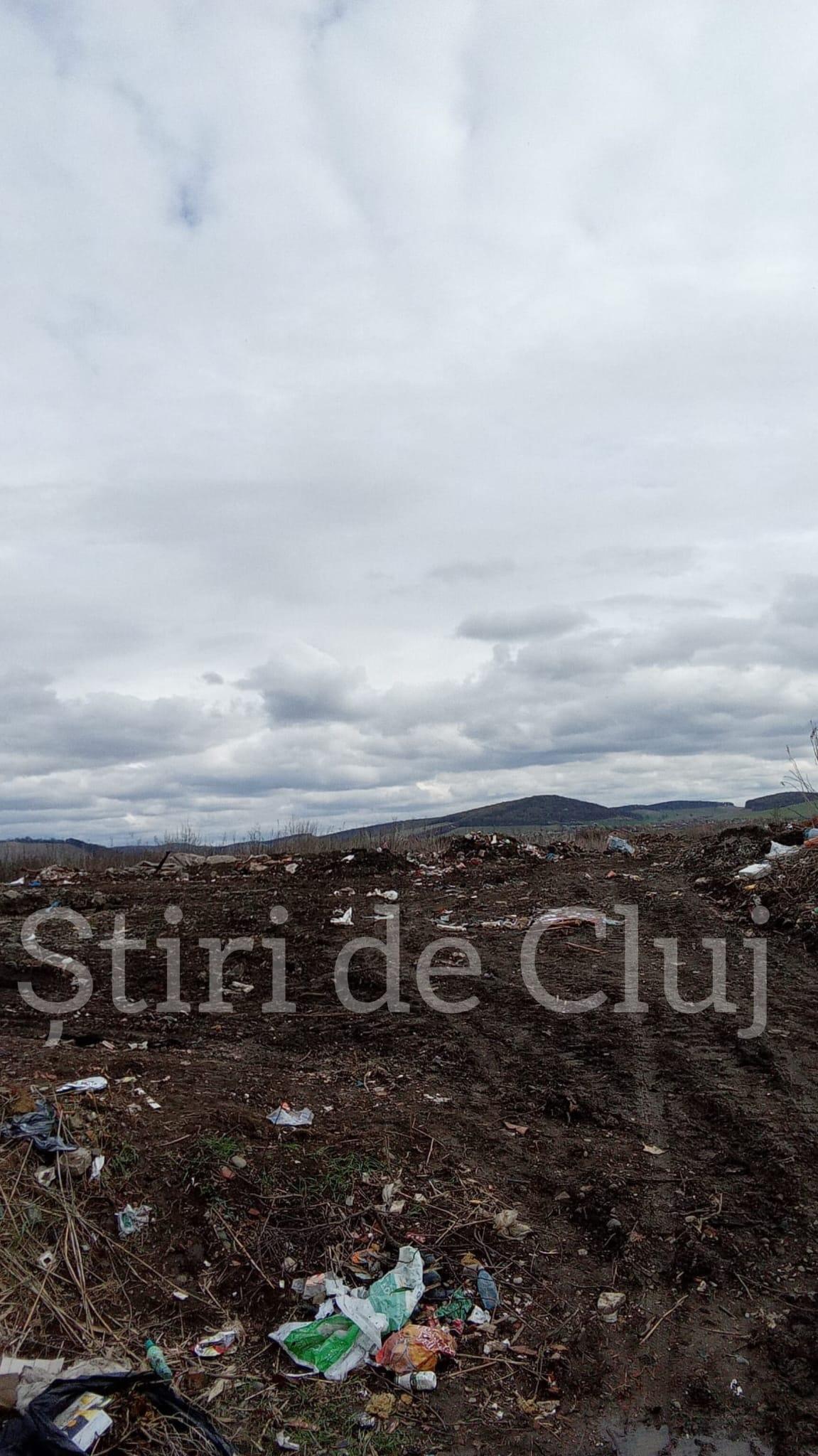 WhatsApp Image 2025-04-01 at 11.11.33.jpeg