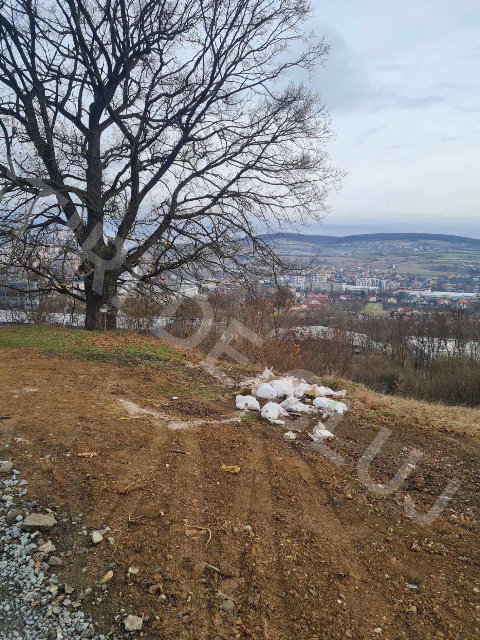 WhatsApp Image 2025-03-26 at 10.04.07_aca93bac.jpg