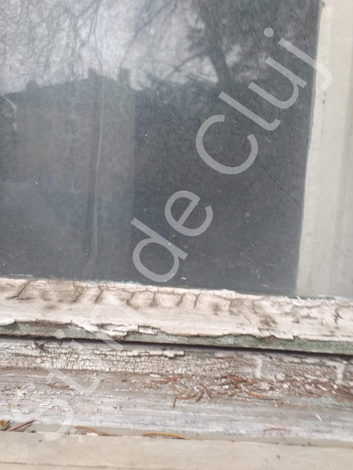 Știri de Cluj (4).png