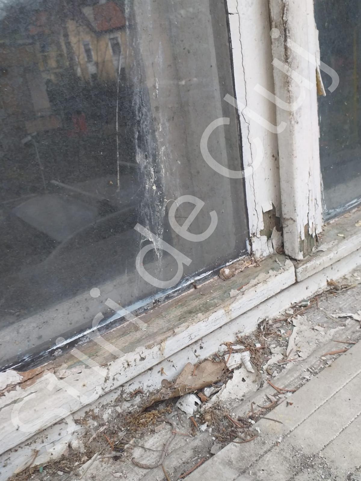 Știri de Cluj (3).png