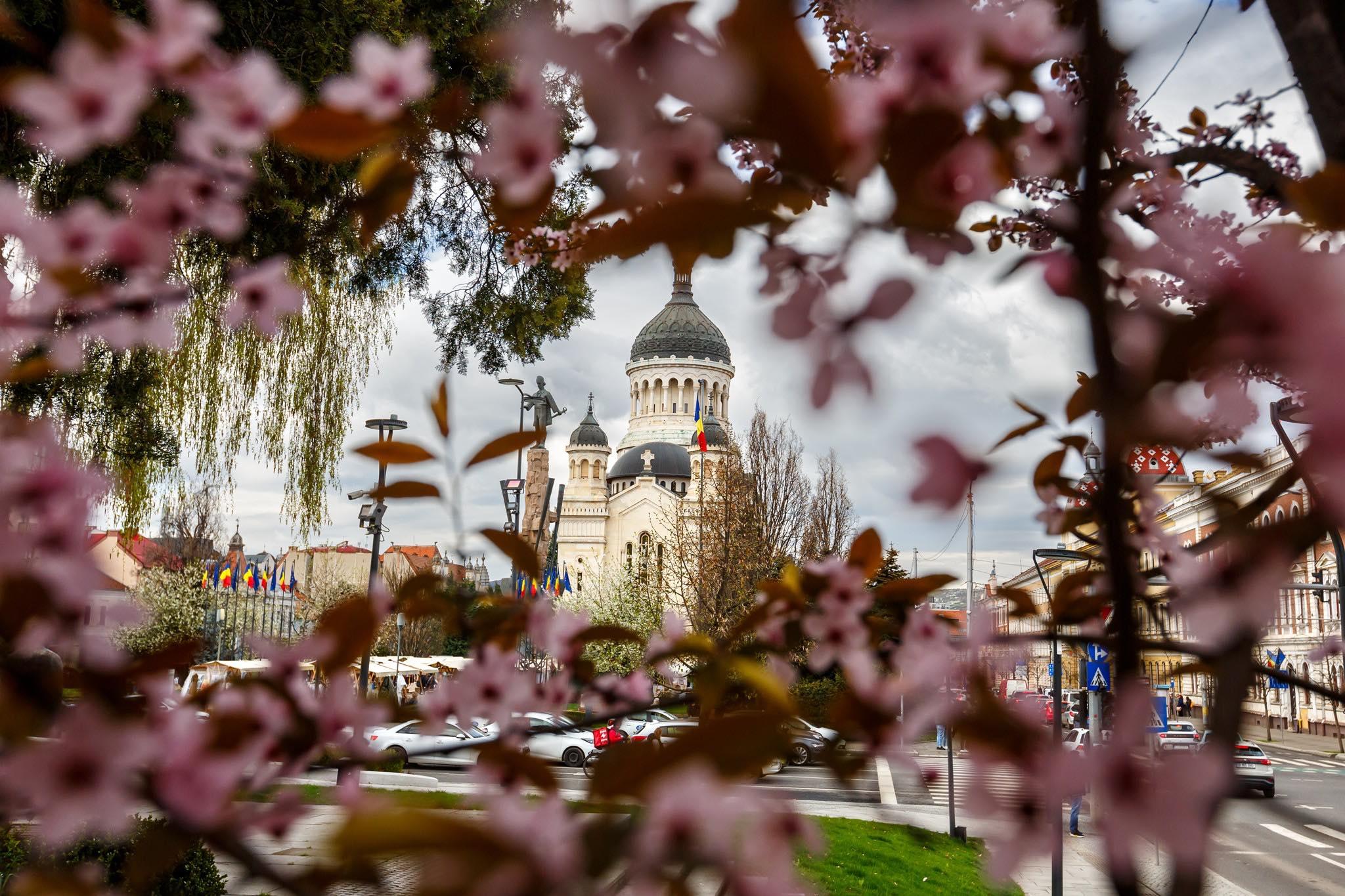 primavara cluj 1.jpg