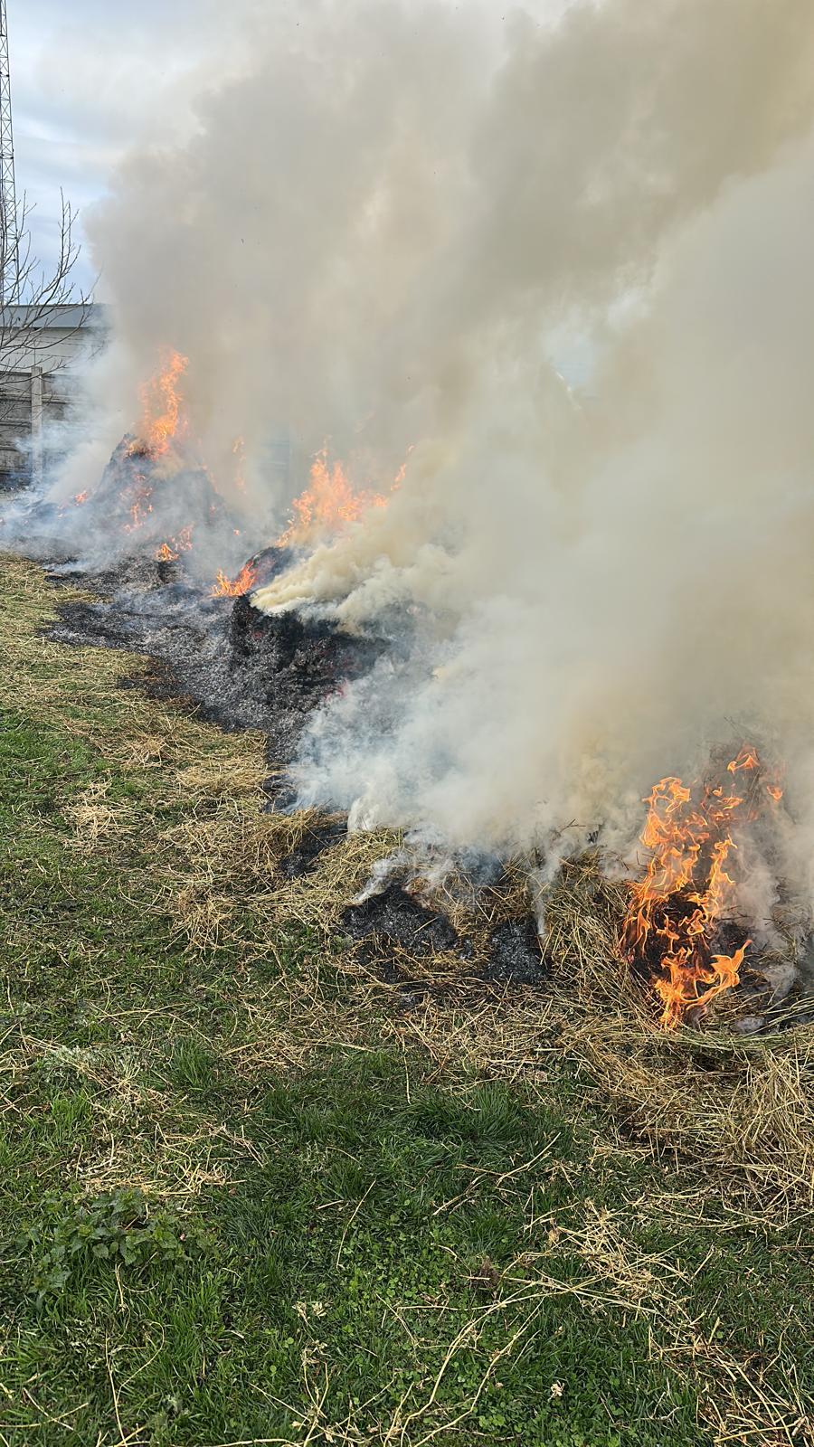 WhatsApp Image 2025-04-03 at 10.52.28_823e0e96.jpg