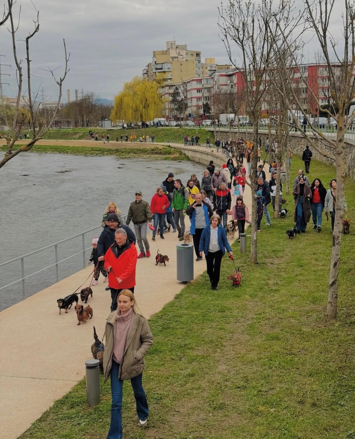 WhatsApp Image 2025-04-04 at 10.09.07_7fc95654.jpg