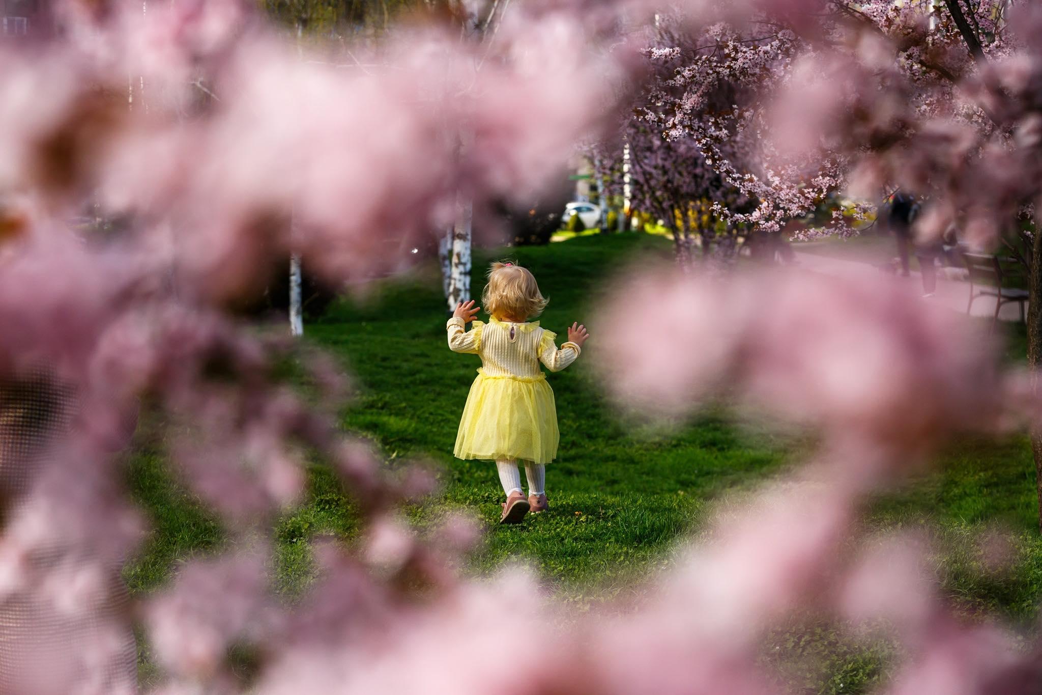 primavara cluj 2.jpg