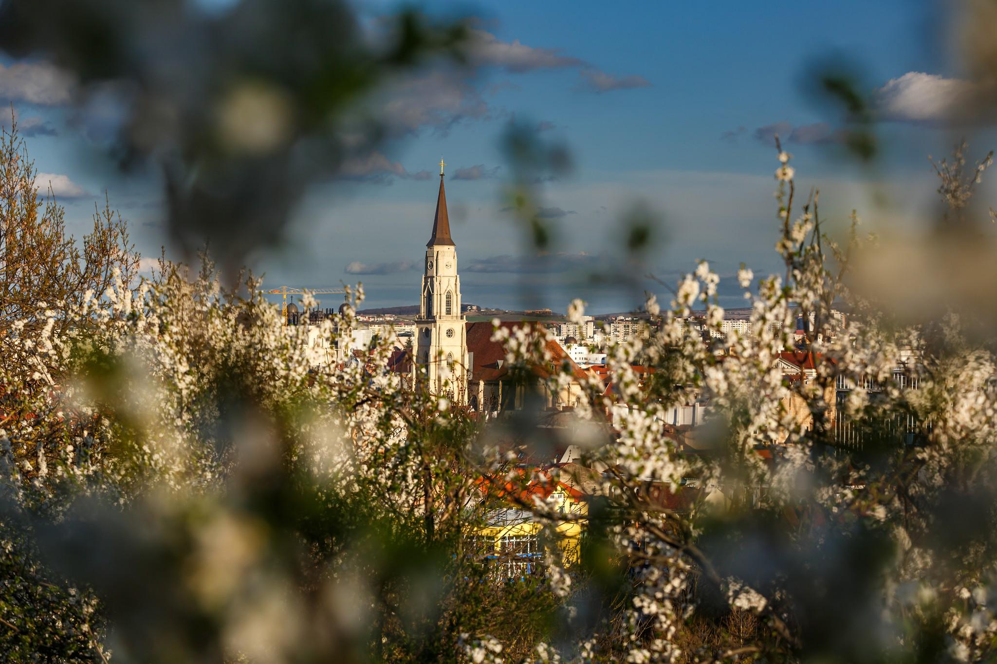 primavara cluj 9.jpg