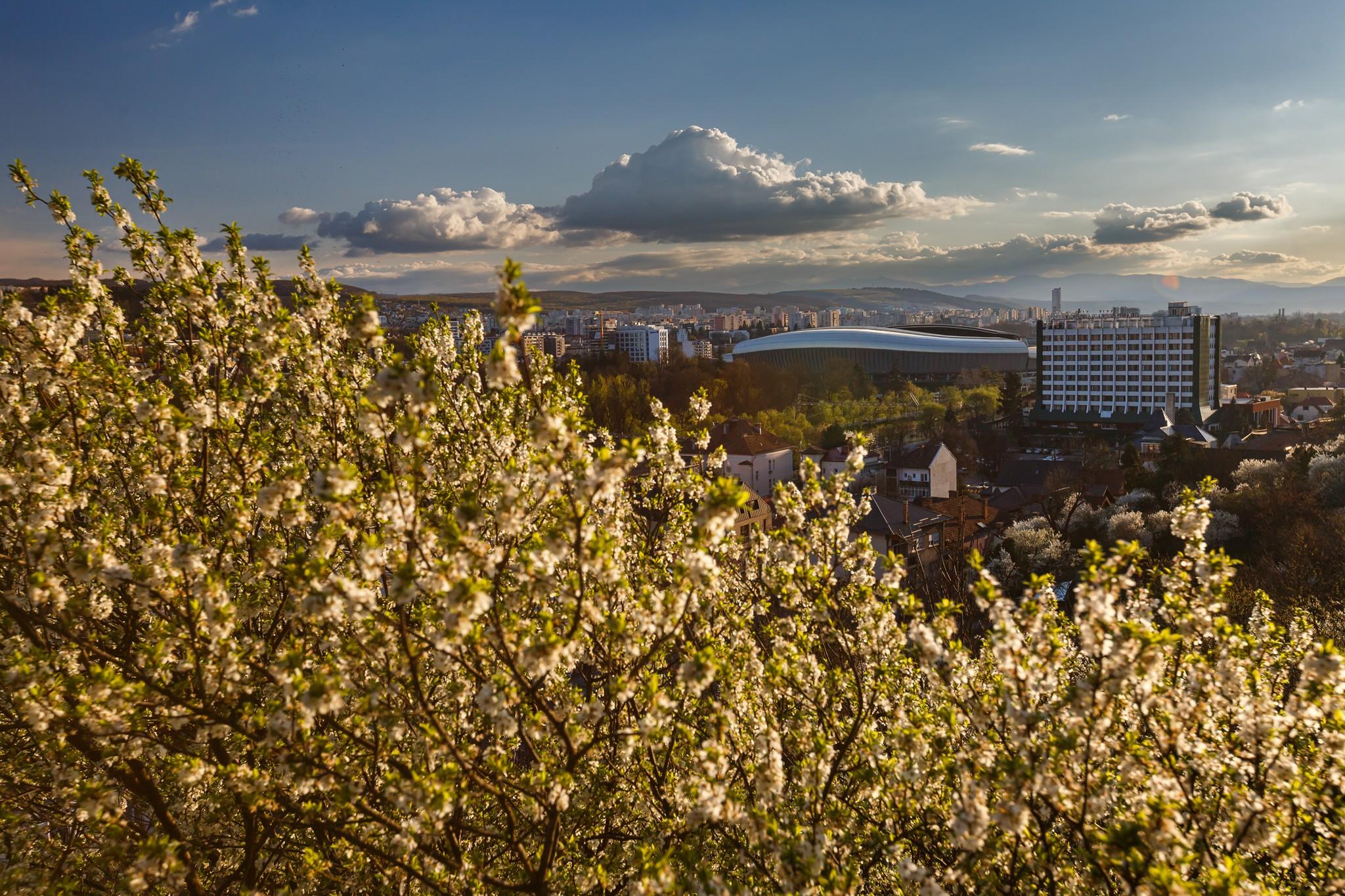 primavara cluj 6.jpg