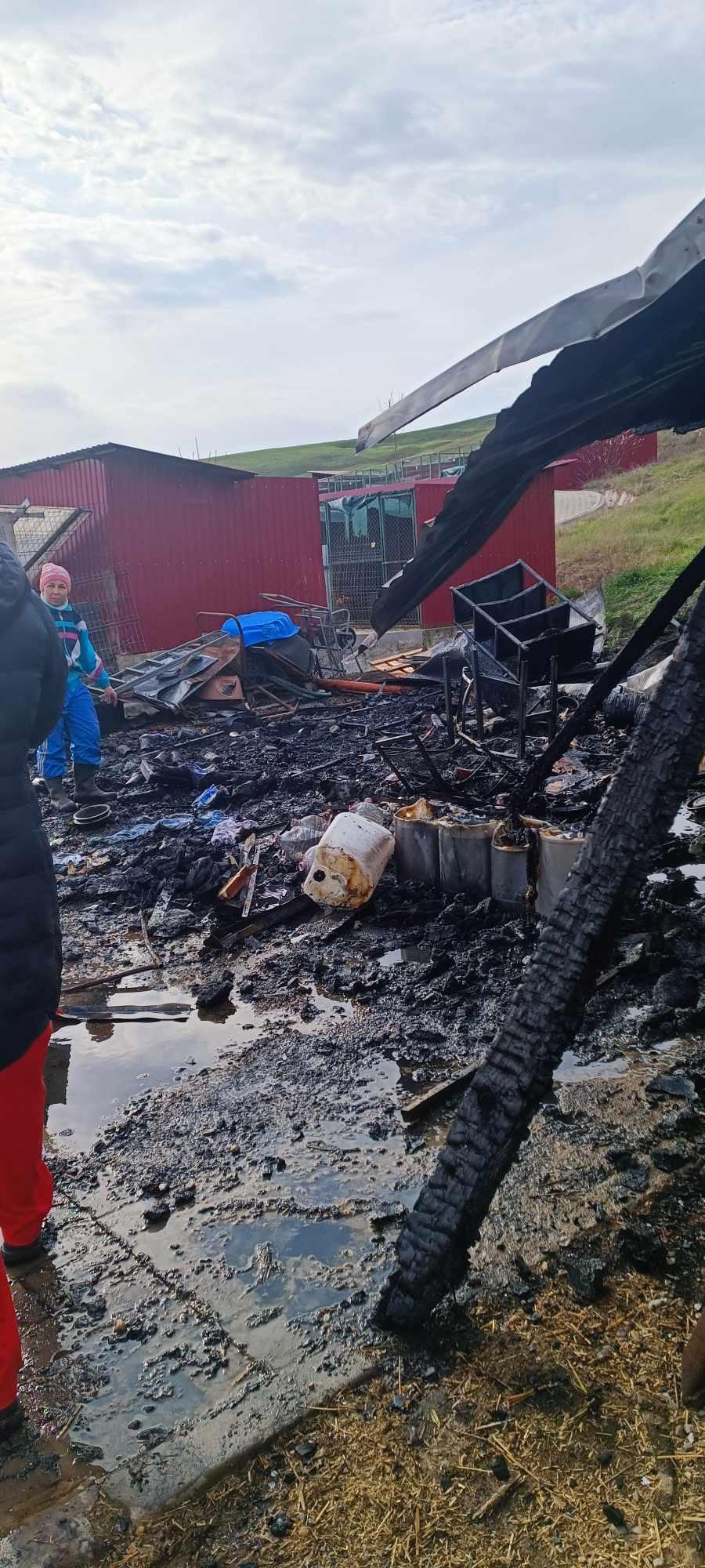 489929385_1080854437407544_3042089268694779817_n (1).jpg