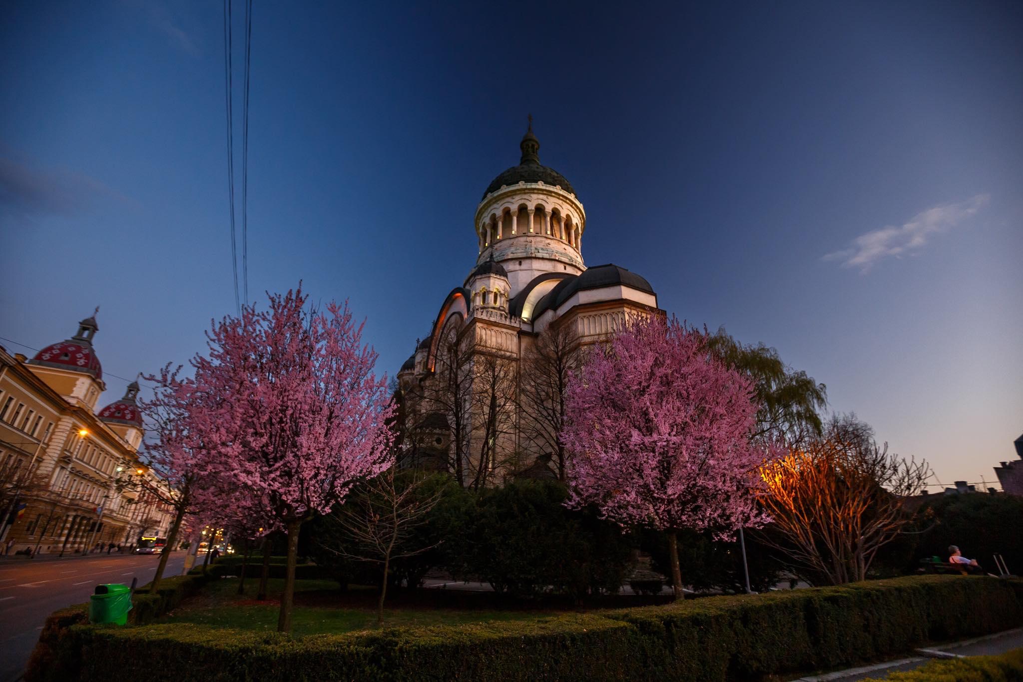 primavara cluj 3.jpg