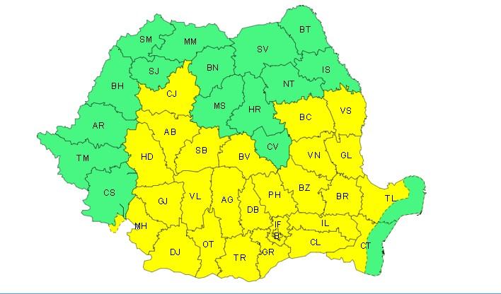 cod galben ploi .jpg