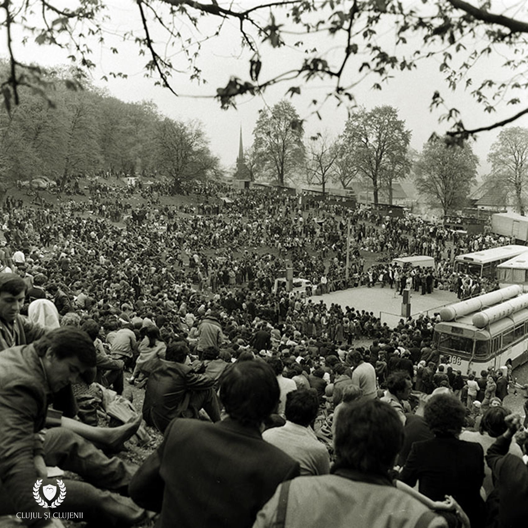 494448258_1108431171301358_4606165276523771162_n (1).jpg