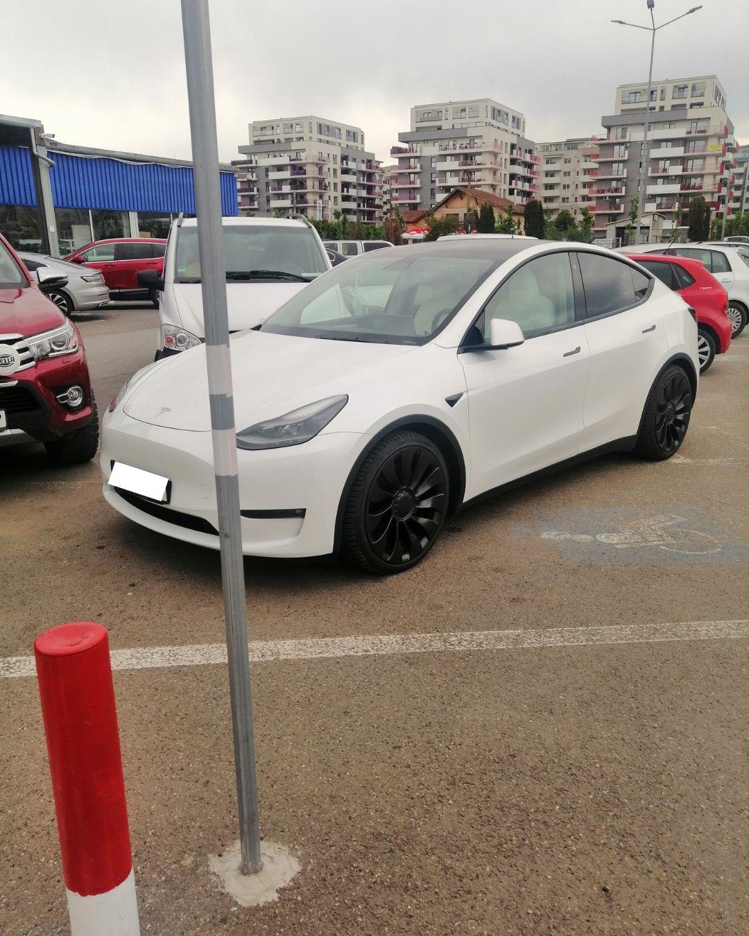 BASS ELEMENTZ (11).jpg