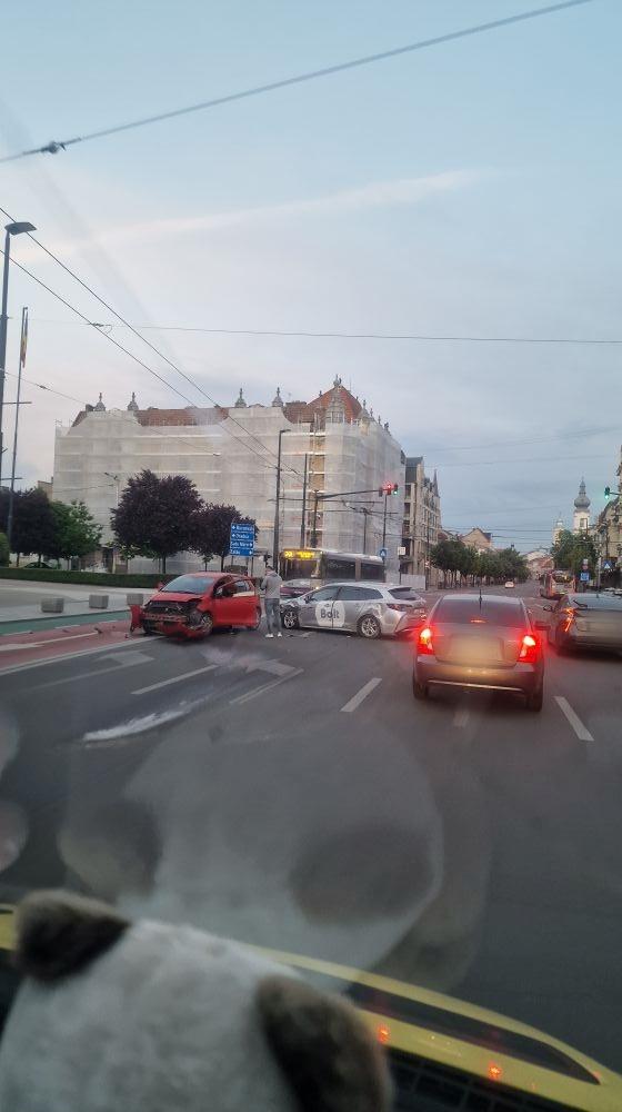 496814881_893865812872707_4713794686476978833_n (1).jpg