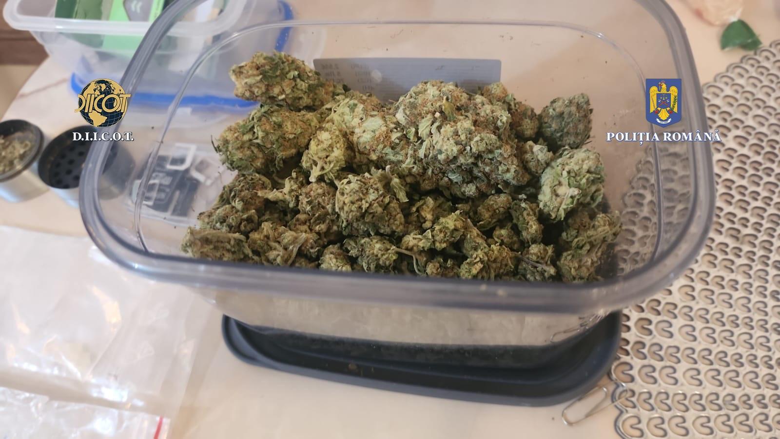 WhatsApp Image 2025-05-27 at 1.34.04 PM.jpeg