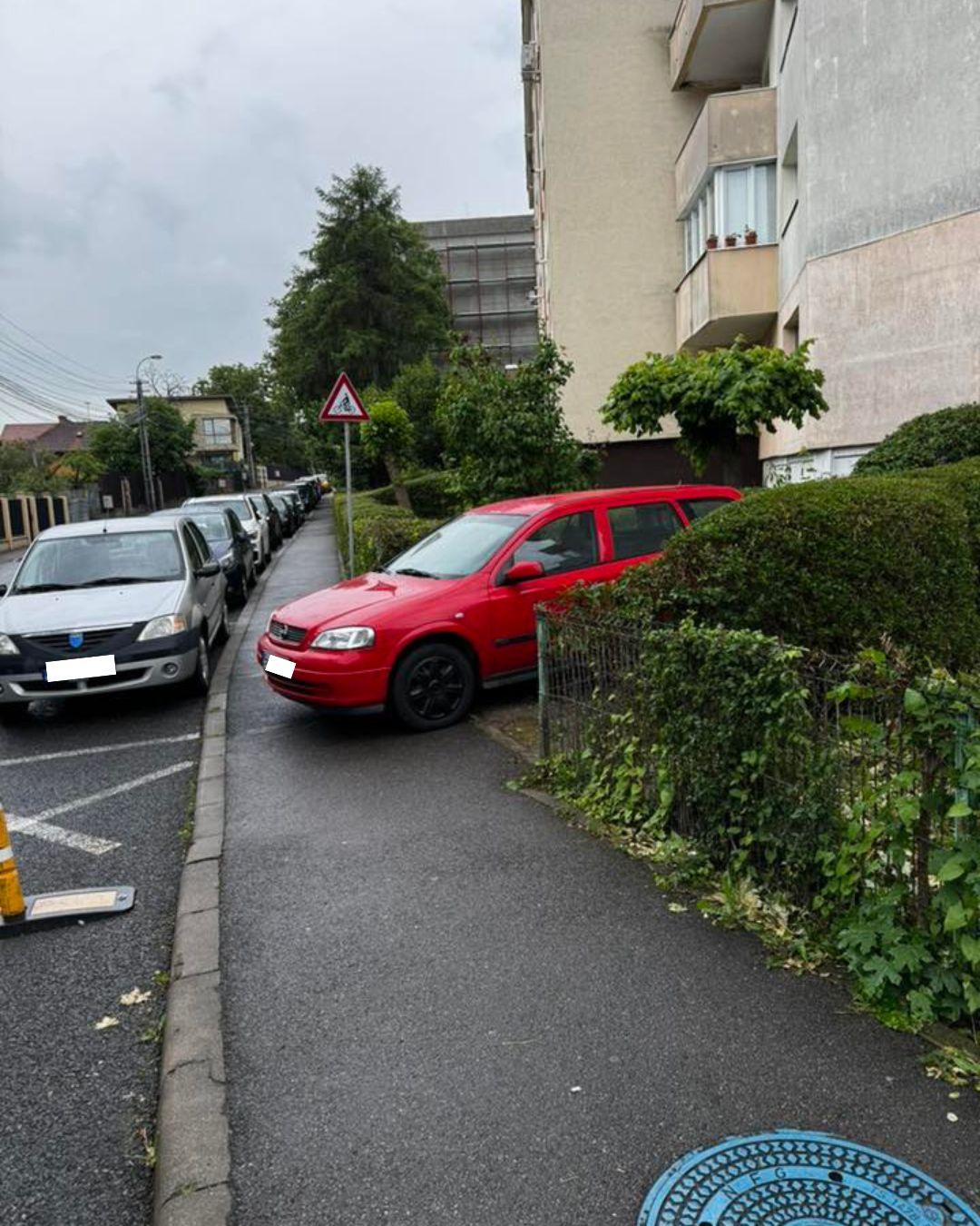 BASS ELEMENTZ (16).jpg