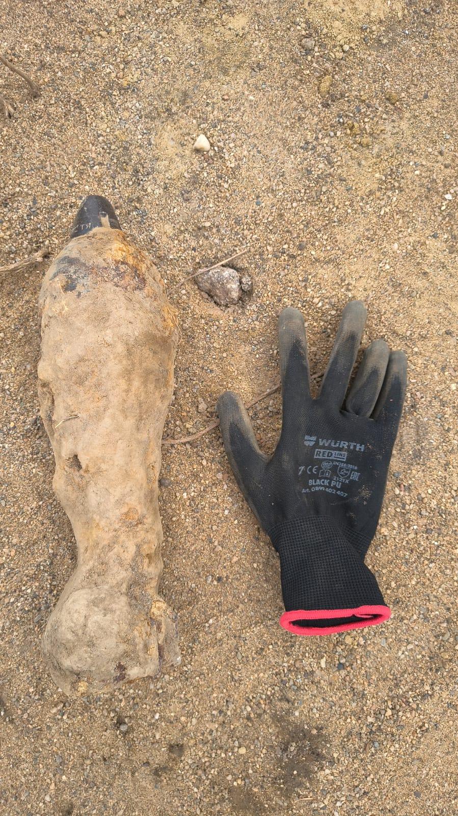 WhatsApp Image 2025-05-27 at 13.26.14.jpeg