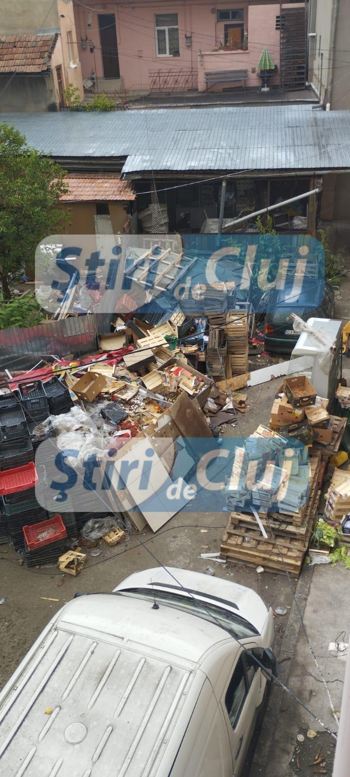 Design fără titlu-9.png