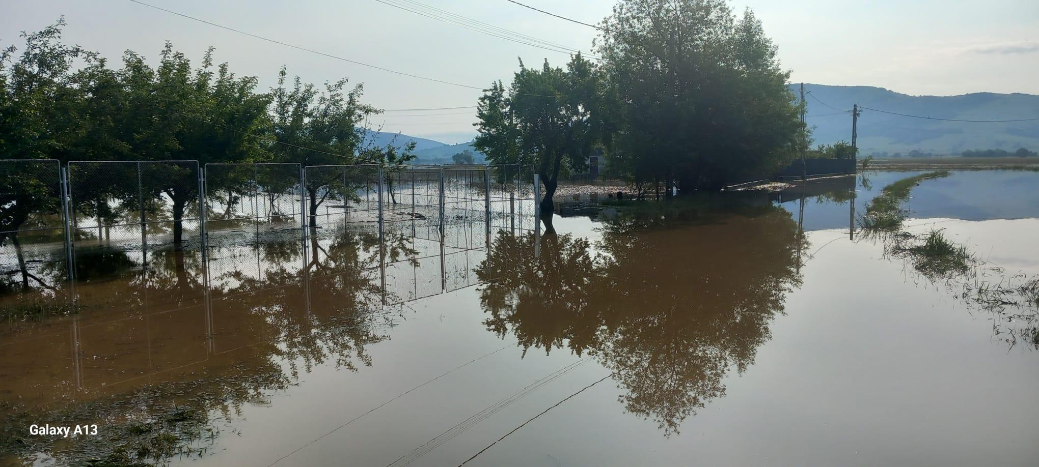 WhatsApp Image 2025-06-01 at 10.06.23 AM.jpeg