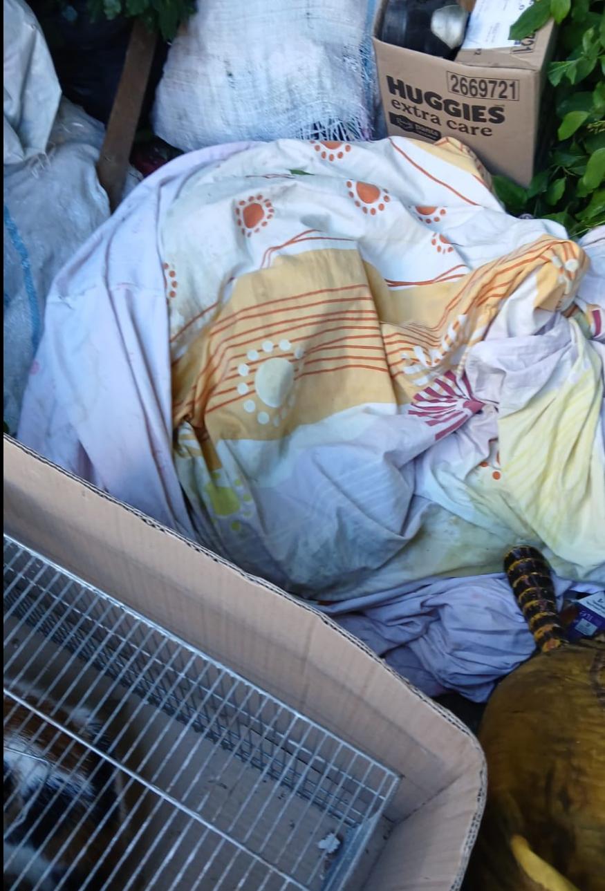 Screenshot 2025-05-31 192320.png