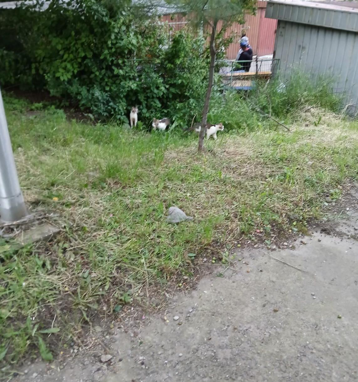 Screenshot 2025-05-31 192327.png