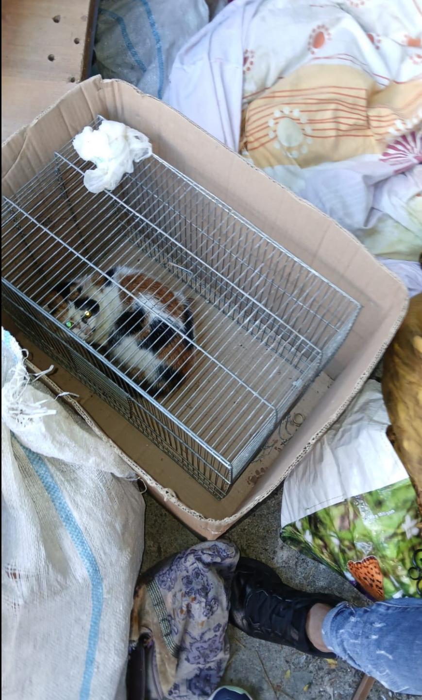 Screenshot 2025-05-31 192340.png