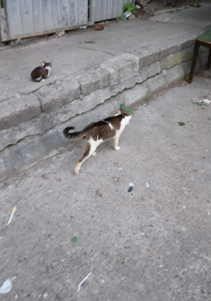 Screenshot 2025-05-31 192334.png