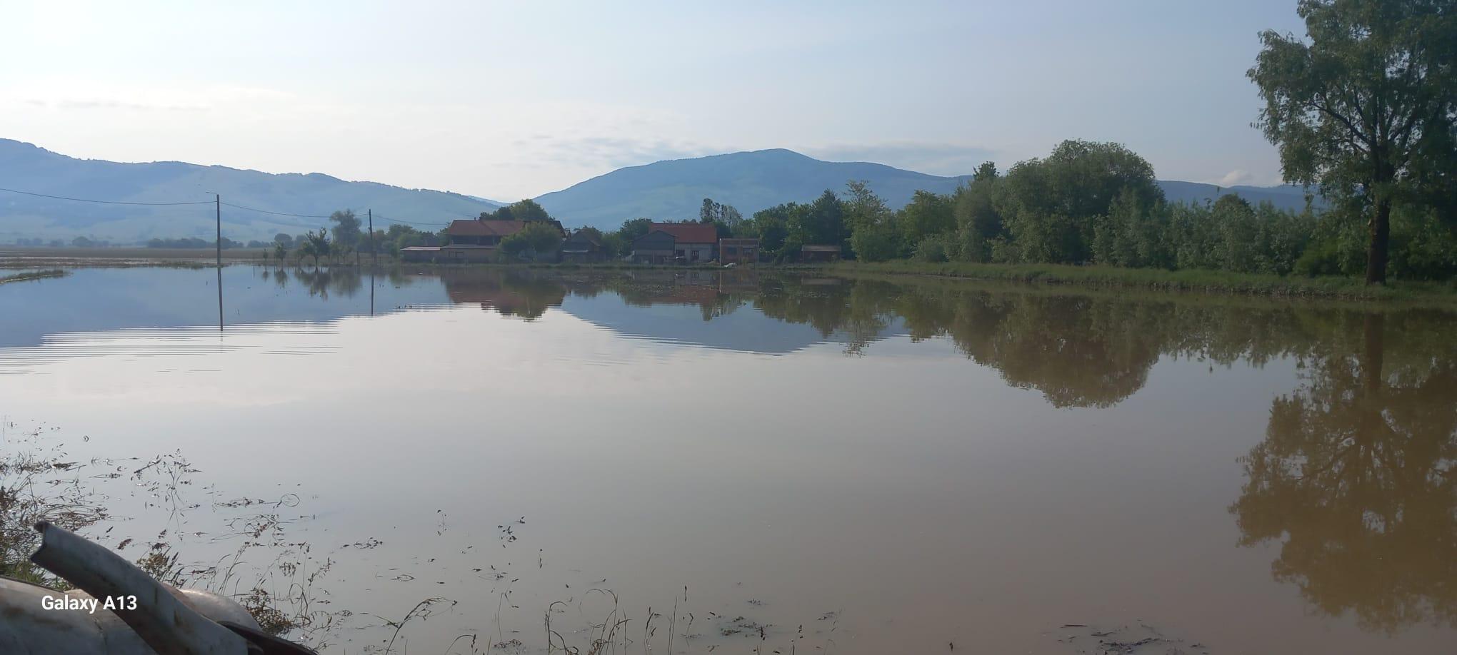 WhatsApp Image 2025-06-01 at 10.06.22 AM.jpeg