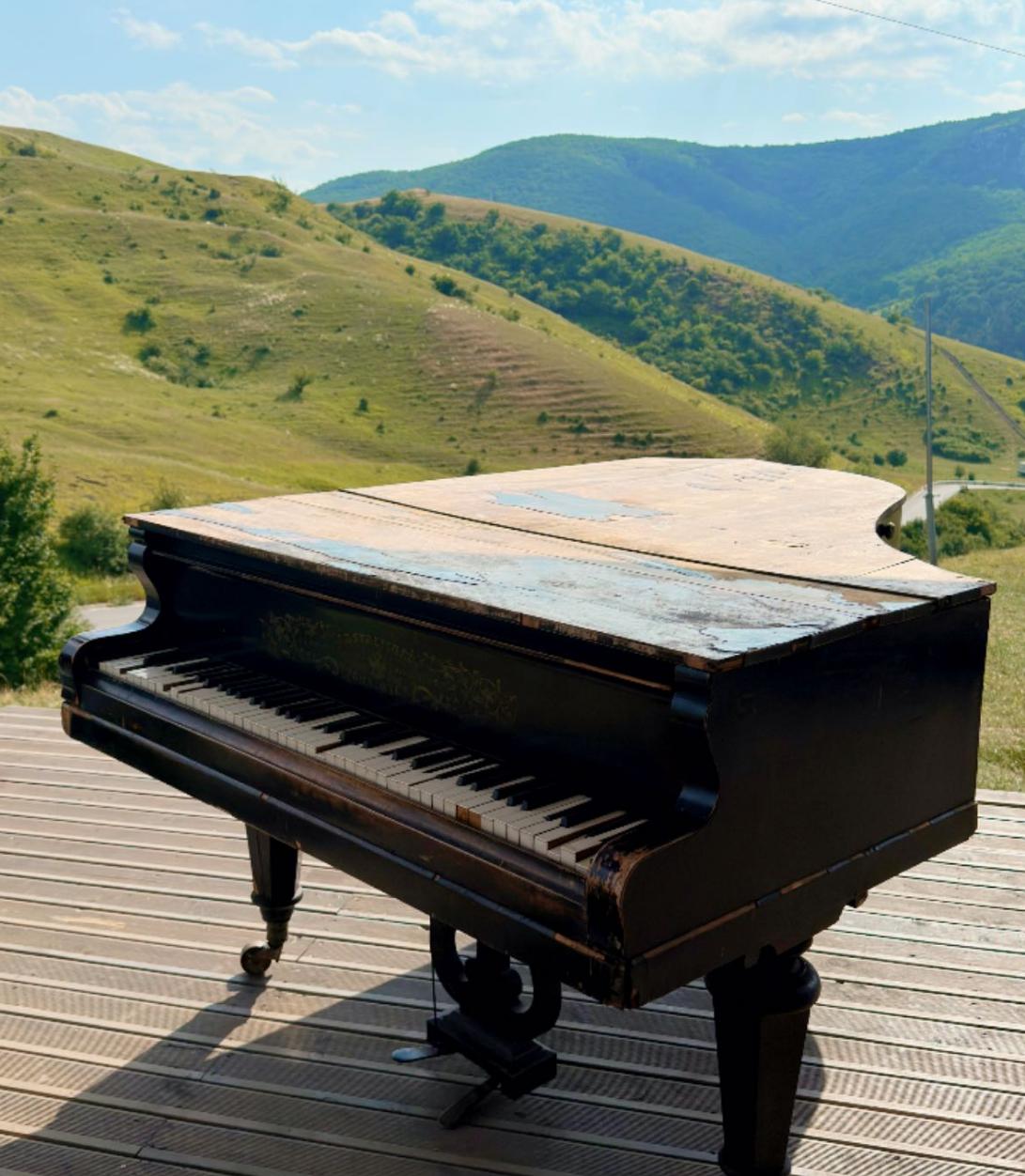 Screenshot 2025-06-26 113951.png