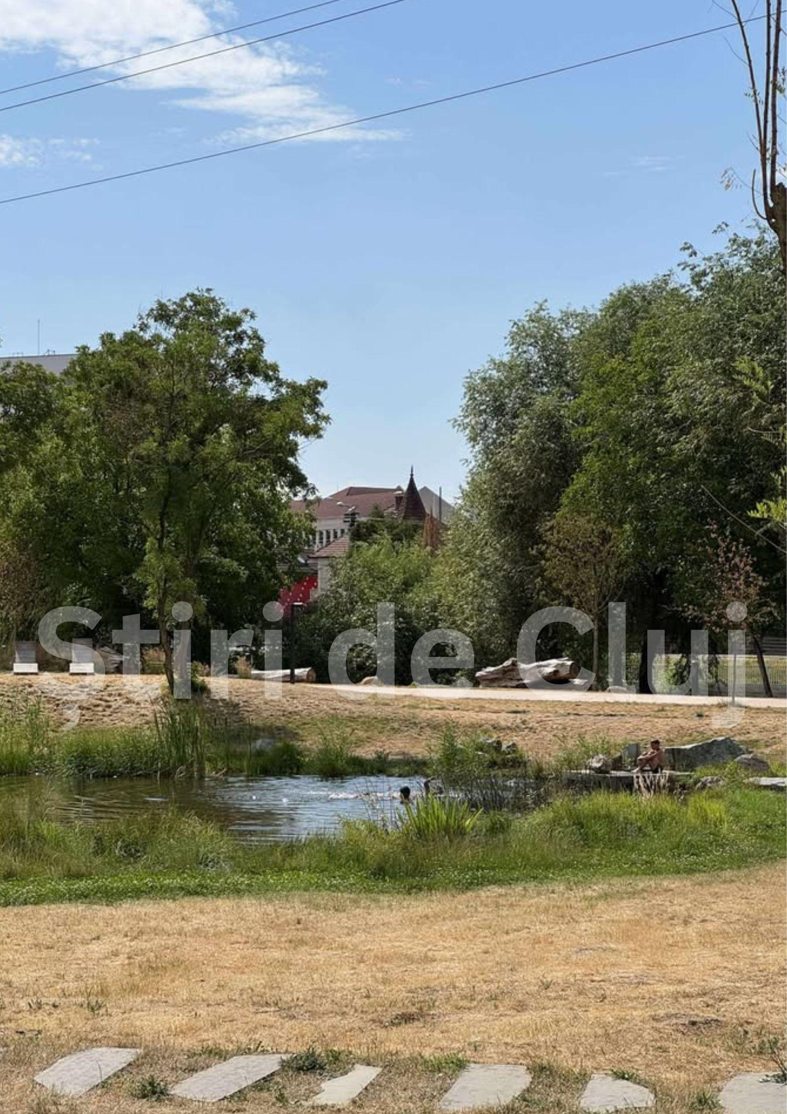 Știri de Cluj (8).jpg