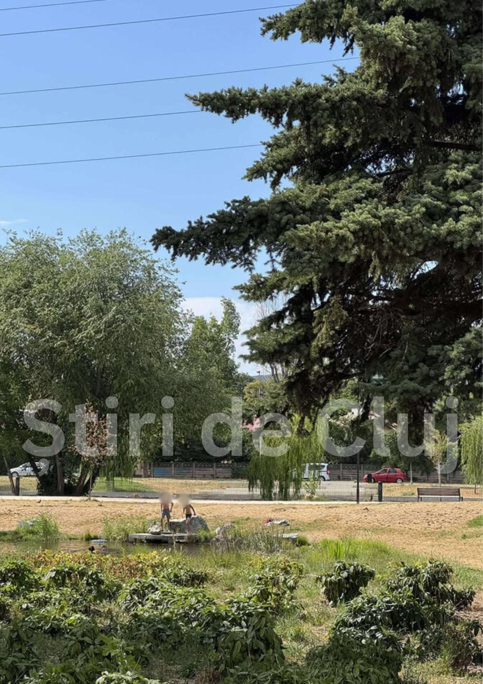 Știri de Cluj (7).jpg