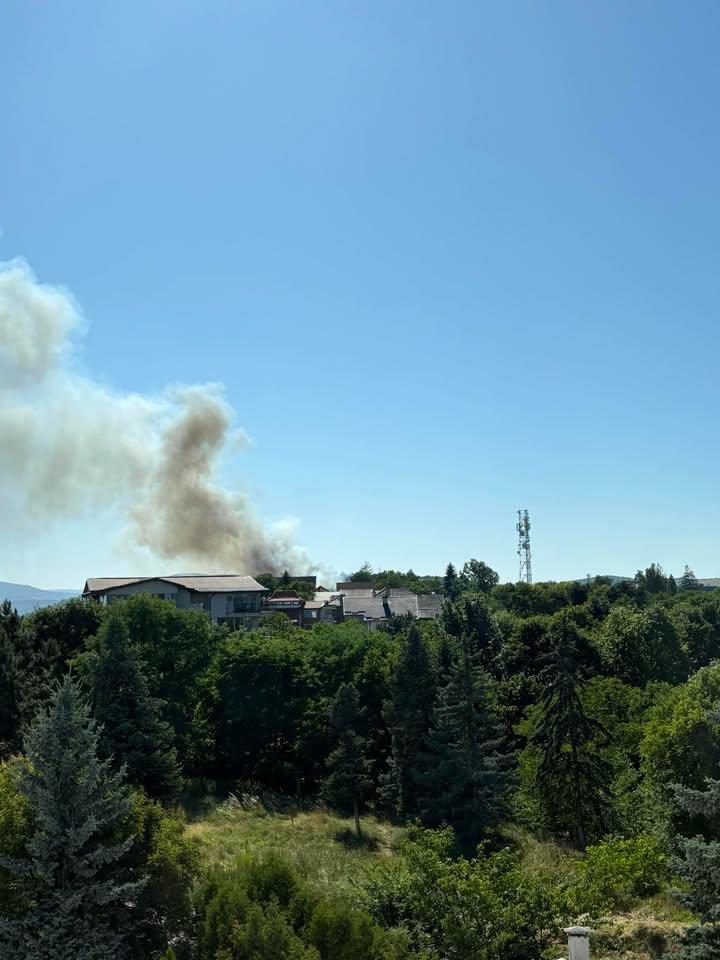 incendiu 4 cetatuie.jpg