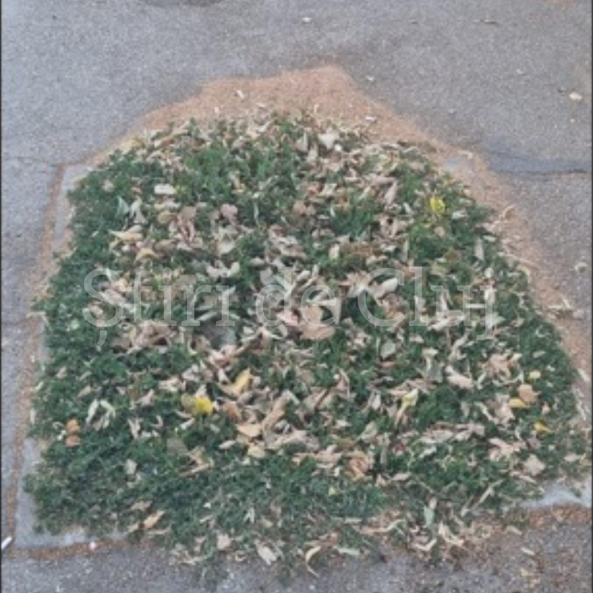 WhatsApp Image 2025-07-02 at 09.40.54.jpeg