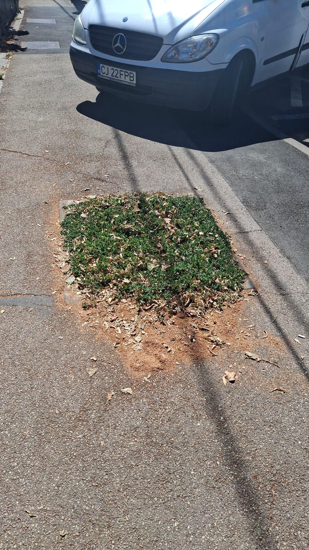 WhatsApp Image 2025-07-02 at 12.18.44 (1).jpeg