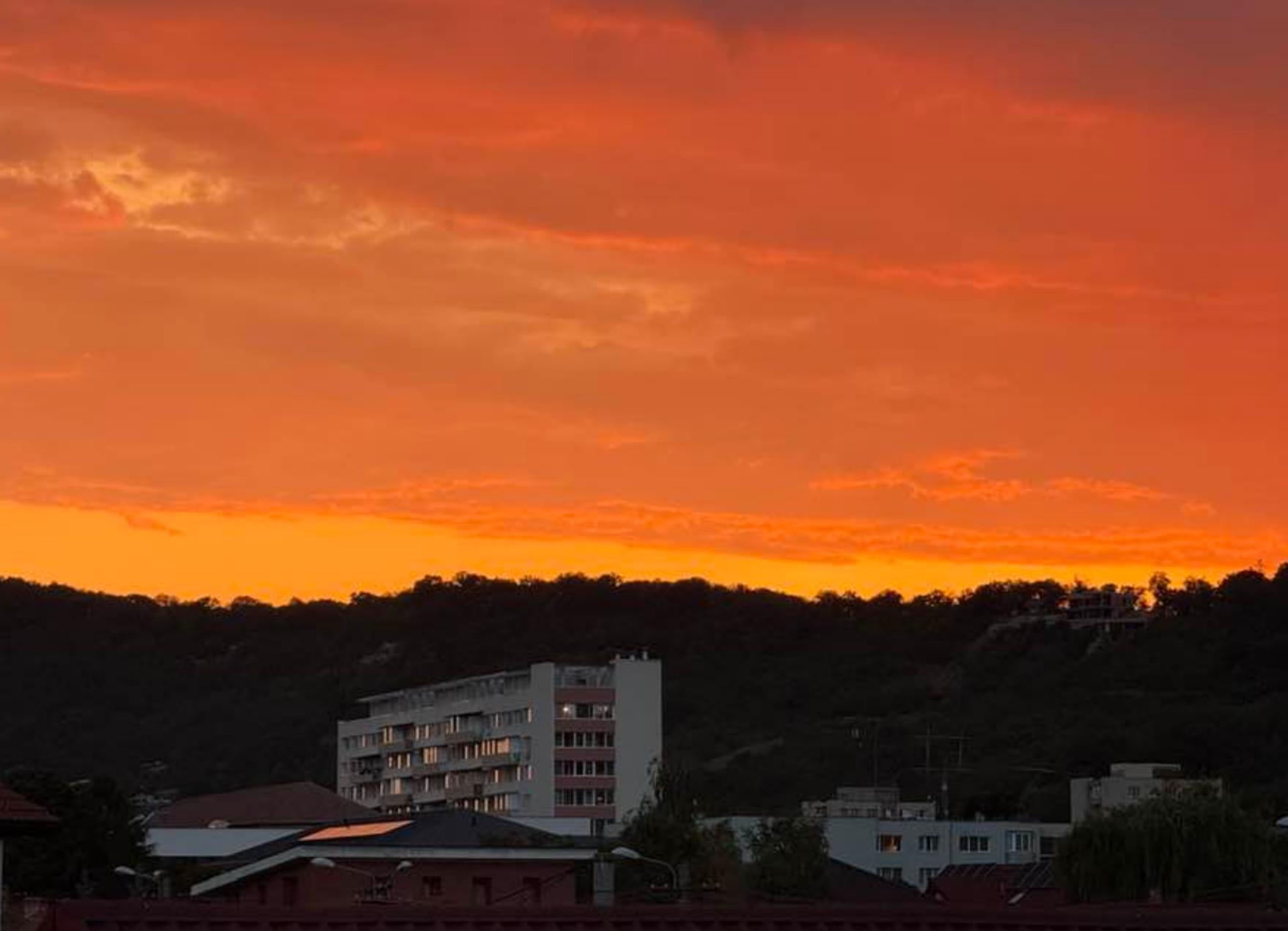 Screenshot 2025-07-08 084120.png