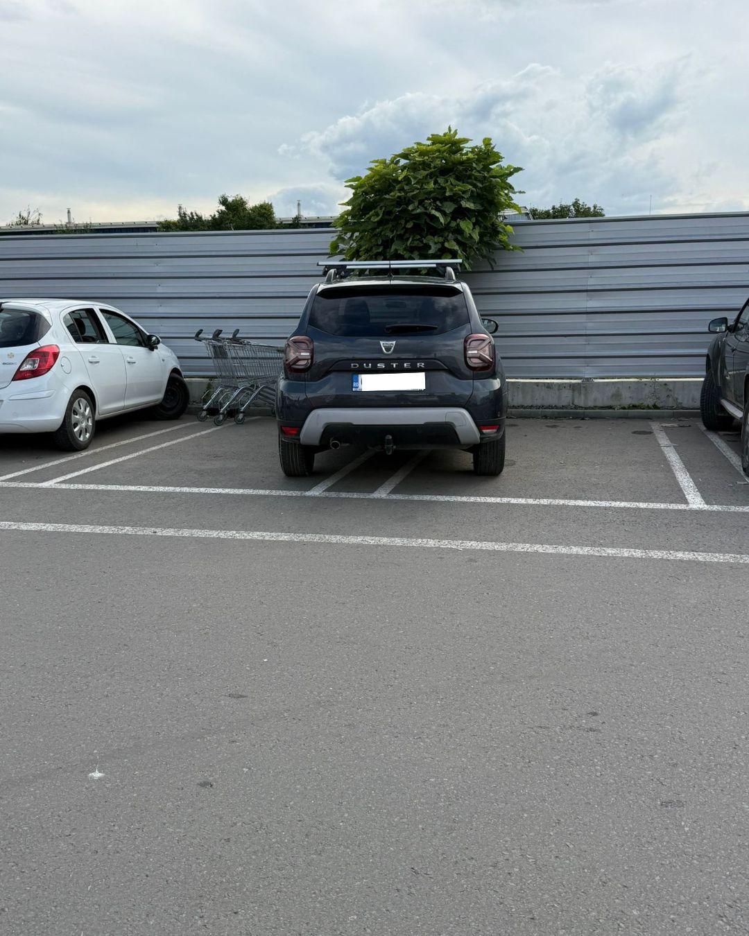 BASS ELEMENTZ (26).jpg