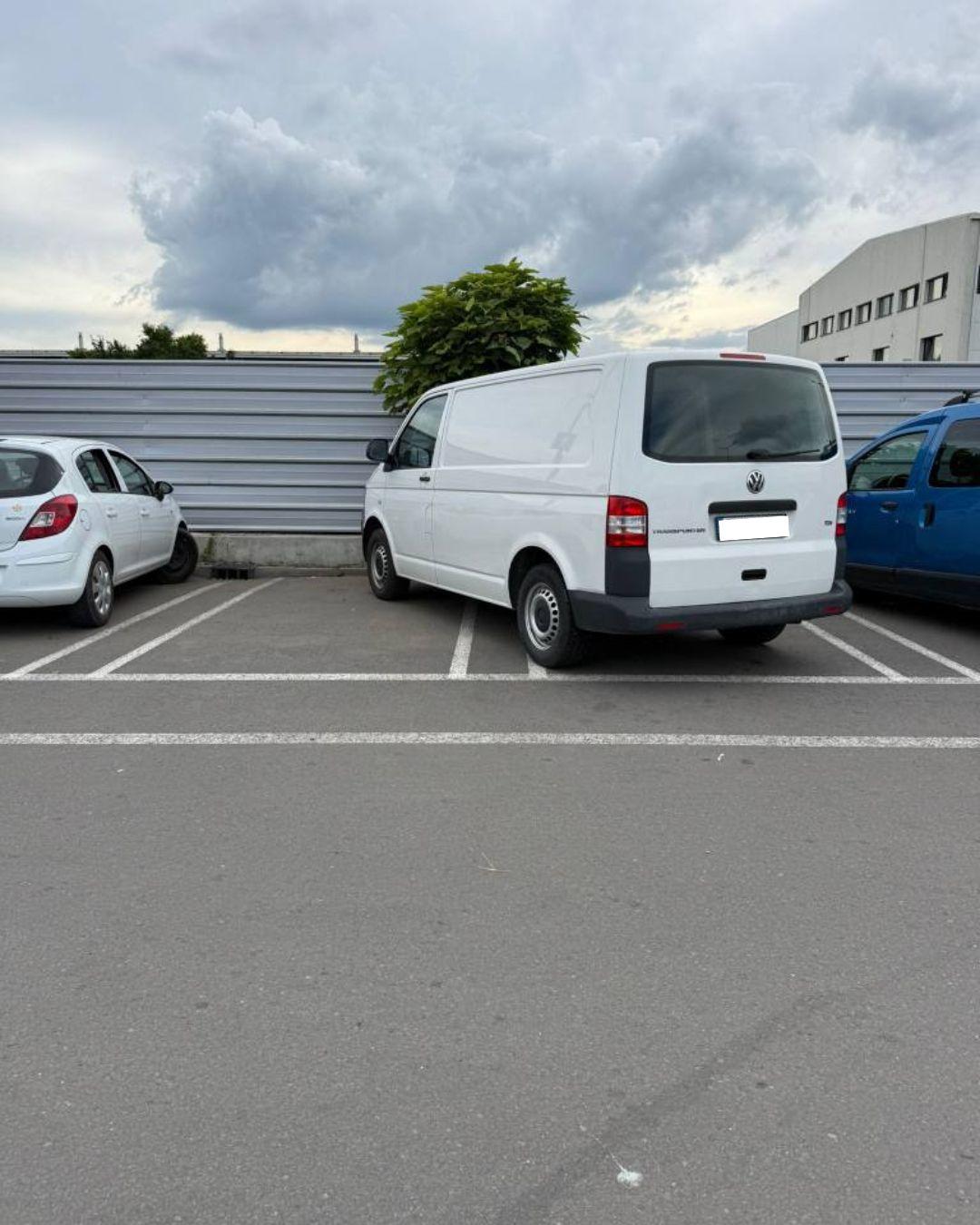 BASS ELEMENTZ (25).jpg