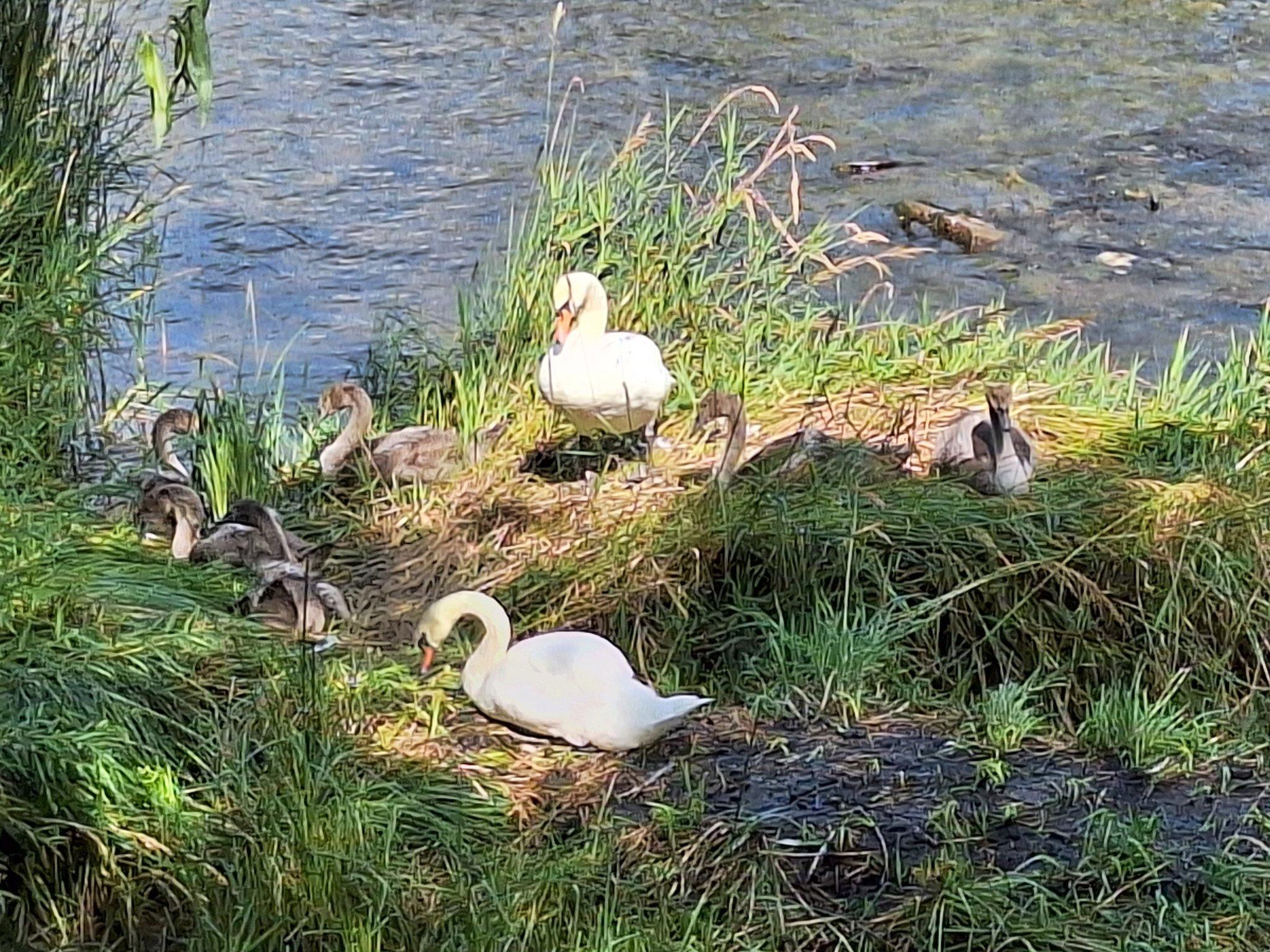 518765337_10236956827157667_903607509500951833_n (1).jpg