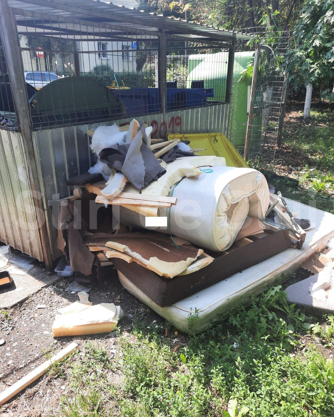 BASS ELEMENTZ (28).jpg