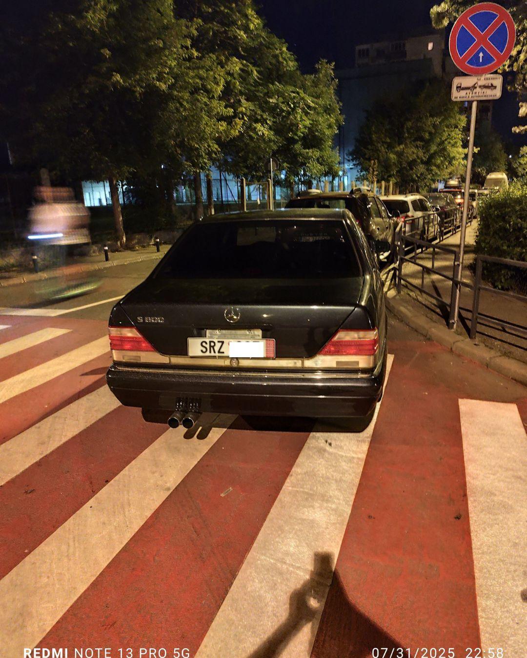 BASS ELEMENTZ (27).jpg