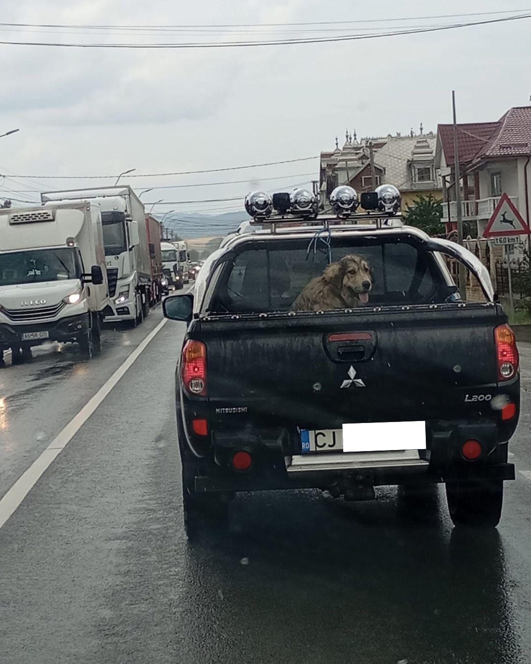 BASS ELEMENTZ (30).jpg