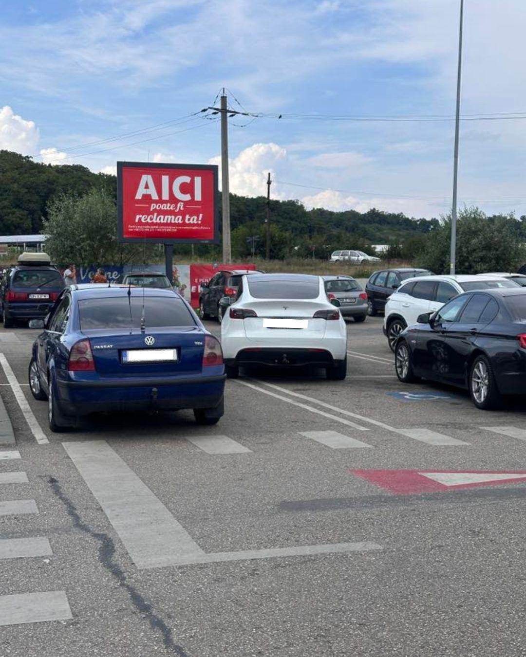 BASS ELEMENTZ (33).jpg