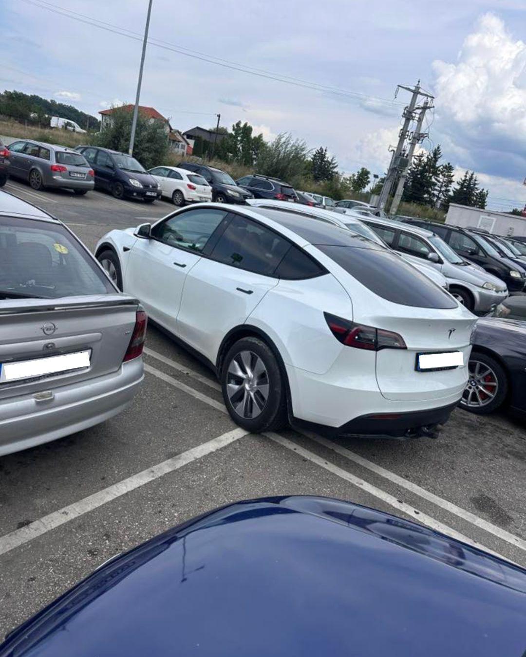 BASS ELEMENTZ (34).jpg