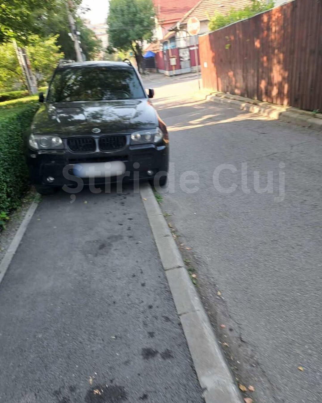 BASS ELEMENTZ (40).jpg